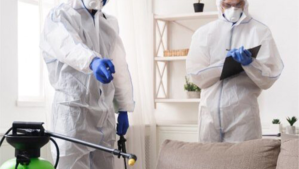 شركة رش حشرات في الطائف , رش حشرات في الطائف , افضل شركة رش حشرات في الطائف , ارخص شركة رش حشرات في الطائف , شركة رش حشرات في الطائف ,  مكافحة حشرات في الطائف , افضل شركة مكافحة حشرات في الطائف 